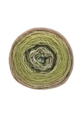 Gomitolo Finito Kleurnummer 563